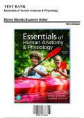 Test Bank for Essentials of Human Anatomy & Physiology, 13th Edition by Marieb, 9780137375561, Covering Chapters 1-16 | Includes Rationales