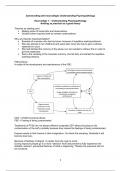 SAMENVATTING/SUMMARY UNDERSTANDING PSYCHOPATHOLOGY (PSB3E-KP02) 