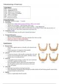 Clinical Approach to Neuroscience and Neurology: Head Injury