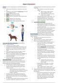 PSYCH 1XX3 Chapter 4: Neuroscience Part 2 (Full Notes)