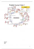 Praktijk course 5 blok 1