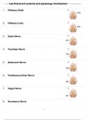 BIO 252 LAB PRACTICAL II ANATOMY AND PHYSIOLOGY QUESTIONS AND CORRECT ANSWERS