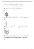 anatomy week5 activity nightingale college(anatomy week5 activity nightingale college) Questions With Complete Solutions