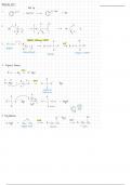 Exam 4 Mechanisms ORGO1