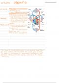 Class notes BIOL 2210 01  Heart