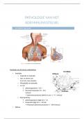 Pathologie van het ademhalingstelsel 