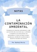 Contaminación Ambiental 