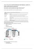 Samenvatting -  Metabolic aspects of nutrition (HNH28305)