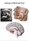 Anatomy Bio290 Notes