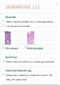 Samenvatting -  Spijsvertering en stofwisseling