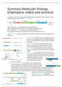 Summary-  Molecular virology (VIR30306)