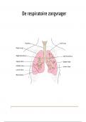 De Respiratoire zorgvrager samenvatting