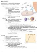 Module 13 Lecture 1