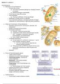 Module 14 Lecture 3