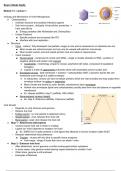 Exam 4 Study Guide