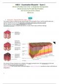 NUR 2755 / NUR2755 Exam 2: Multidimensional Care IV / MDC 4 Exam 2 Blueprint (Latest 2024/2025) Rasmussen