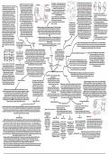 CCEA GCE Biology - Chapter 2 - Immunity 