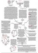 CCEA GCE Biology - Chapter 7 - Ecological energetics and nutrient cycling