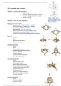 voorbereiding osteologie