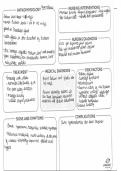 Hyperthermia Concept Map