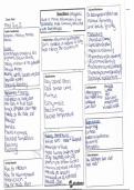 Cholecystitis Concept Map