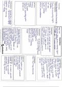 Concept Map for Chest tube