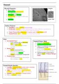 Dental Tissues & Oral Biology Summary Notes for Dentistry (Year 1)