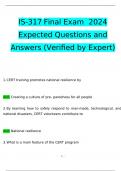 IS-317 Final Exam2024 Expected Questions and Answers (Verified by Expert)