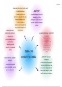 Resumen derecho constitucional