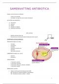 samenvatting antibiotica