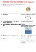 NURS 631 FINAL EXAM REVIEW (with diagrams) 100% VERIFIED,A+ GRADED