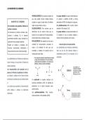 Repaso la química de los alimentos (Hidratos de carbono) 