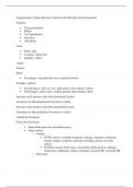 pathophysiology exam 2 study guide