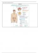 Med-surg II exam 2 study guide