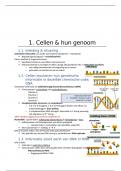 samenvatting biochemie 1ste REVAKI