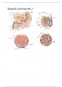 Samenvatting Biogenie 5.2 & 6.2 - leerboek -  Biologie