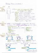 Samenvatting - Biologie 'Thema 1 - De cel' GO! Onderwijs