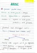 Breast pathology handwritten notes 