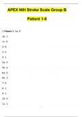 APEX NIH Stroke Scale Group B Patient 1-6 (Complete)20242025