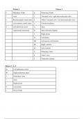 Anatomy and Physiology Lab Heart Diagram Study Guide