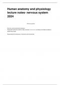 Human anatomy and physiology  lecture notes- nervous system 2024