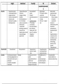 VOLLEDIG samenvattend schema Vergelijkende Politiek 2023-2024 - Stefan Fiers, Steven Van Hecke 