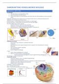 Samvenvatting vergelijkende biologie