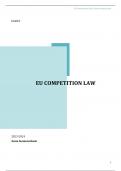 Notes EU competition law (16/20)