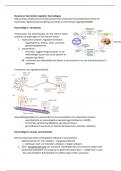 Hormonale regulatie college aantekeningen, gezondheidswetenschappen 
