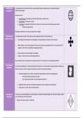 Schema uitgangspunten integratieve handelingsorthopedagogiek