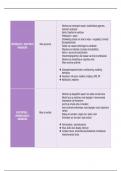 Schema 4 paradigma's verdieping in de theoretische orthopedagogiek