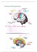 Summary -  3.6 Neuropsychology (FSWP3089K)