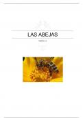 Las abejas y su papel en el ecosistema