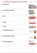 BIO 252 Final LAB practicum Chamberlain latest update